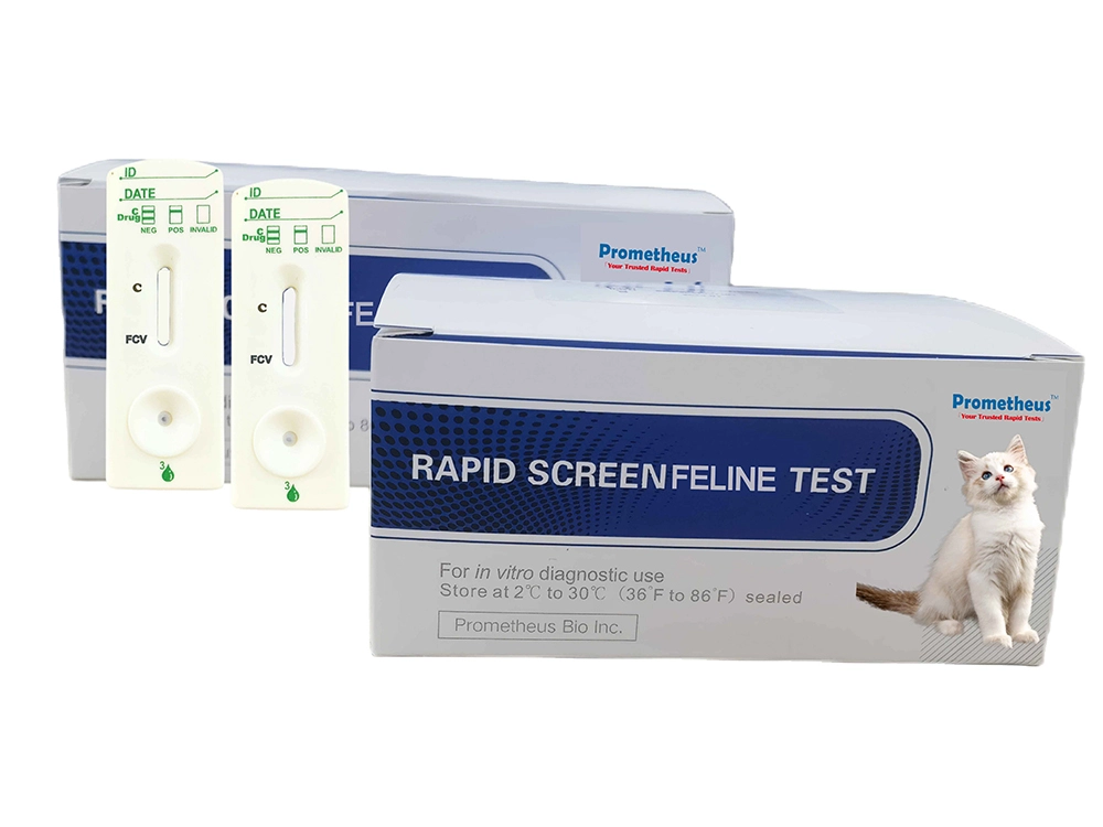 fecal antigen test