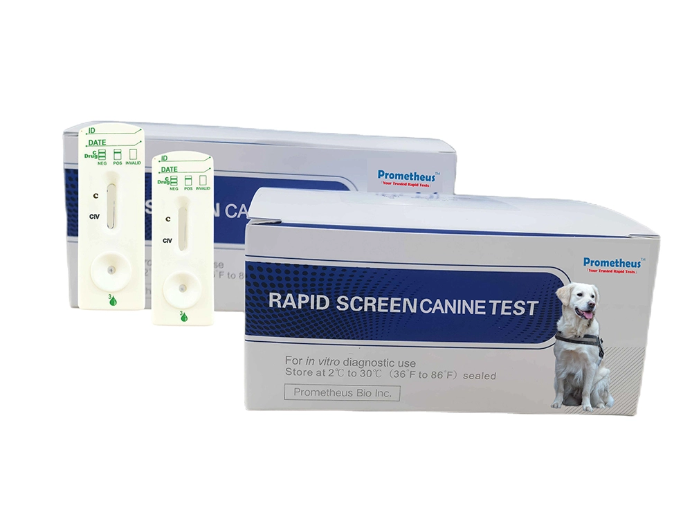 nasal antigen test
