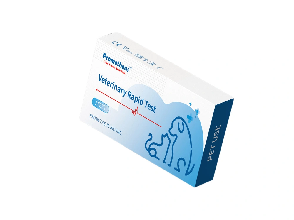 Canine Adenovirus Type - II Antigen (CAV Ag) Test
