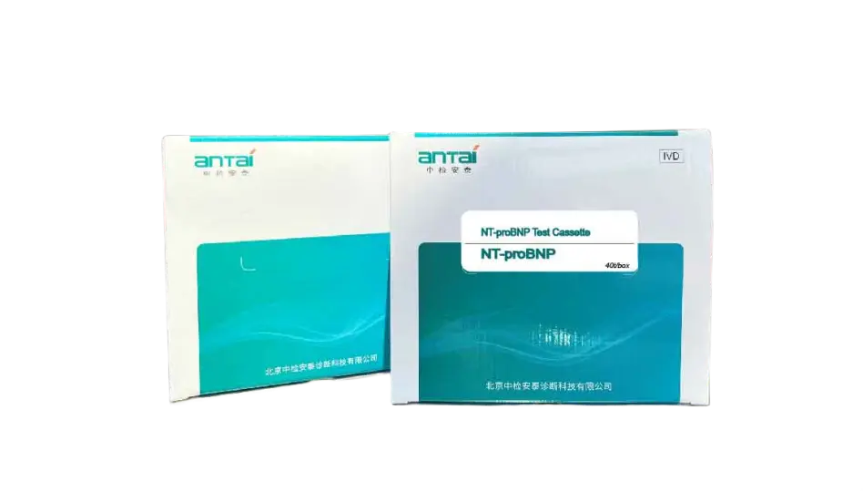 N-terminal Pro-B-Type Natriuretic Peptide (NT-proBNP)