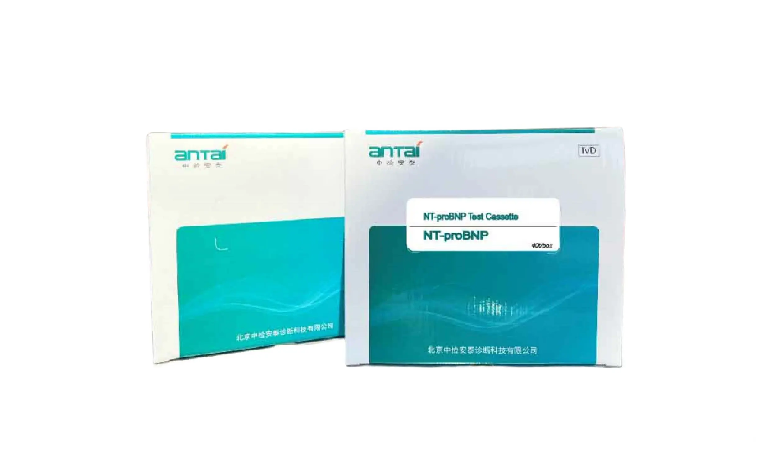 N-terminal Pro-B-Type Natriuretic Peptide (NT-proBNP)